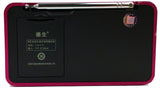 TECSUN X3 High Definition Speaker with Aluminum Case and Built in FM Radio and MP3 Player, Red