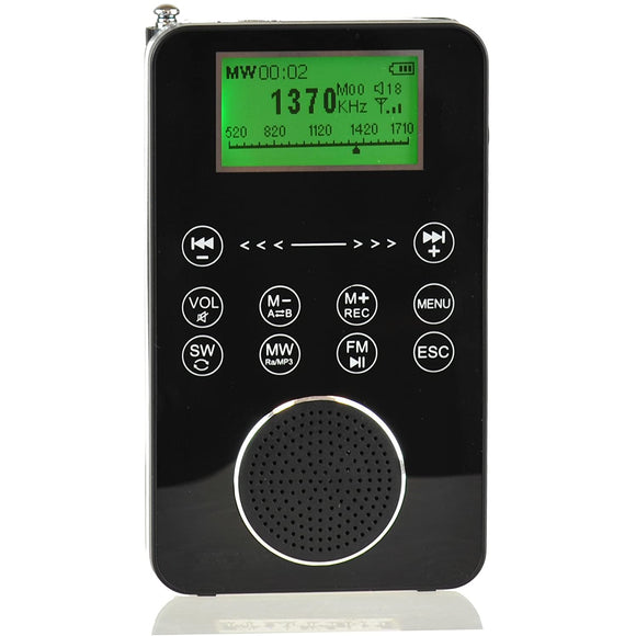 Degen DE1131 4-in-1 Touch Screen Controlled Portable AM/FM/SW Digital Radio, MP3 Player with Built-in 4GB Flash Memory and Micro-SD Card Reader, Voice Recorder & E-Book Reader